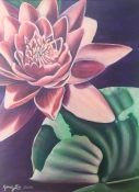 art of Janus Lee